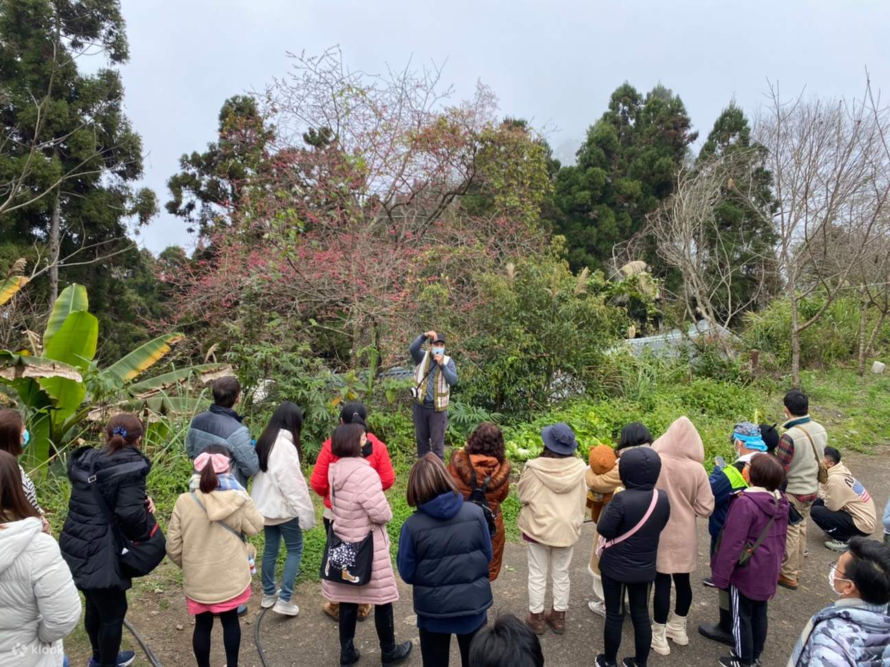 Hướng dẫn tham quan khu vực